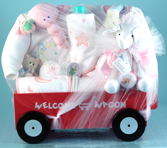 Deluxe Welcome Wagon Baby Girl Gift