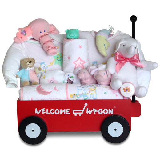 Deluxe Welcome Wagon Baby Girl Gift