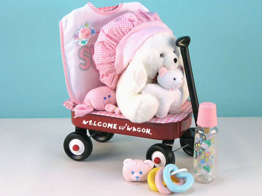 Baby Girl Welcome Wagon Gift Set