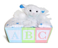 Load image into Gallery viewer, Baby Blanket & Lovey Gift Basket
