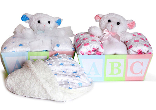 Baby Blanket & Lovey Gift Basket